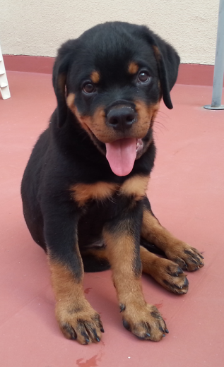 Con 2 meses 